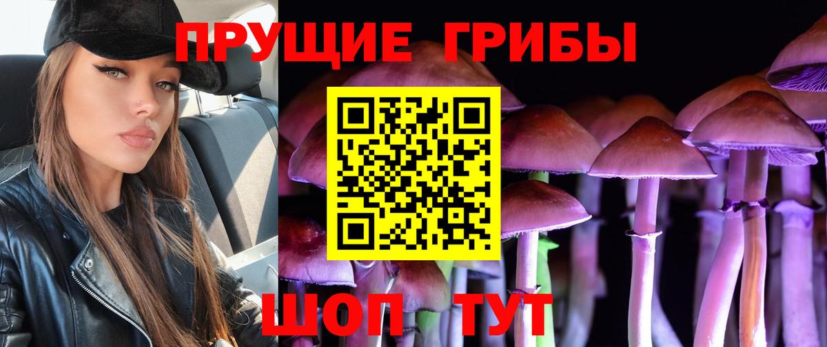 Галлюциногенные грибы Magic Shrooms  Вход с VPN  Галлюциногенные грибы прущие грибы  Торжок 
